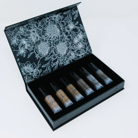 Eyebrows box set (6 PIGMENTS 5 ML)